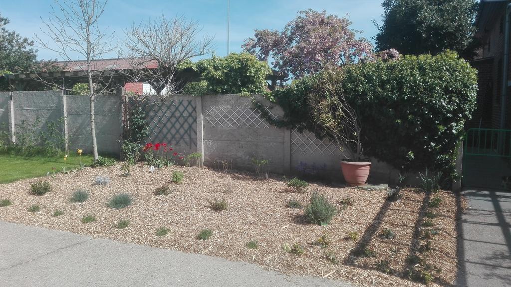 Het Margrietje Villa Merkem Bagian luar foto
